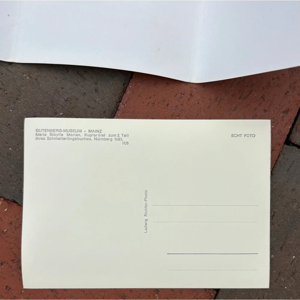10 Gutenberg Museum Mainz Postcards Photo Bildkarten Art Unused Vtg NOS German